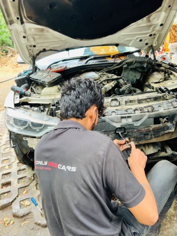 Caliper Pin Greasing