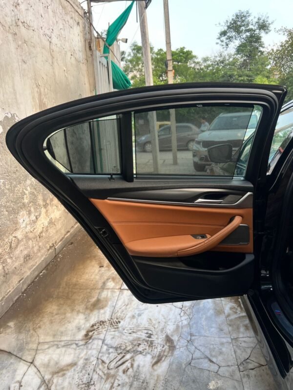 Left Rear Door Paint
